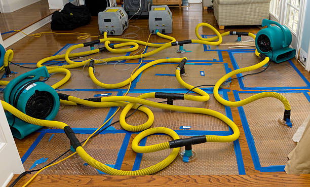 Professional Structural Drying And Dehumidification technician working in Cleveland, NC